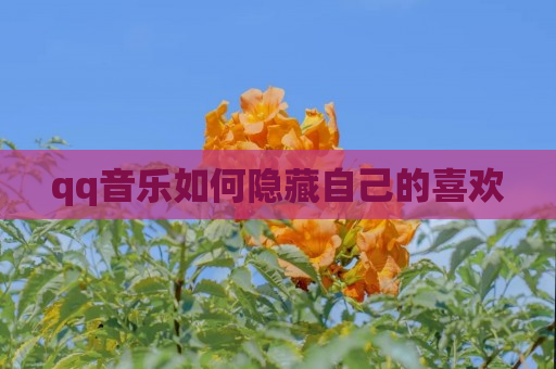 qq音乐如何隐藏自己的喜欢