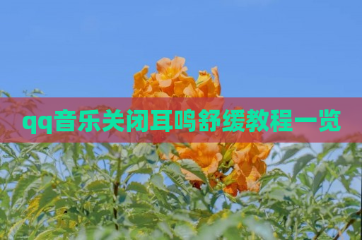 qq音乐关闭耳鸣舒缓教程一览