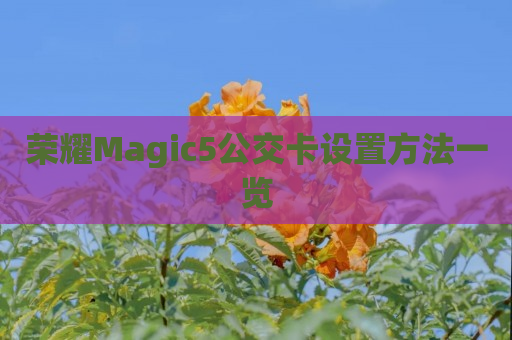 荣耀Magic5公交卡设置方法一览