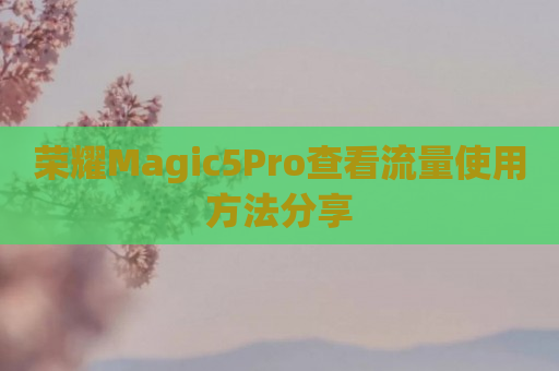 荣耀Magic5Pro查看流量使用方法分享