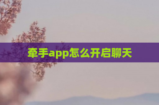 牵手app怎么开启聊天