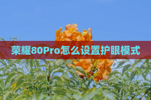 荣耀80Pro怎么设置护眼模式