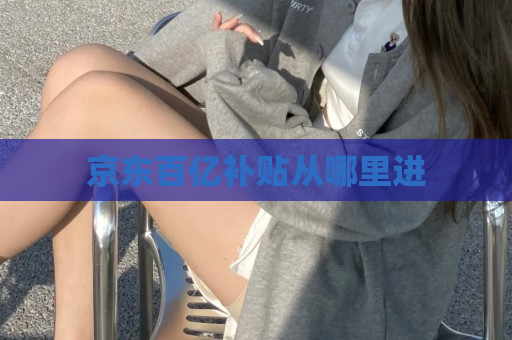 京东百亿补贴从哪里进