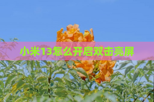 小米13怎么开启双击亮屏