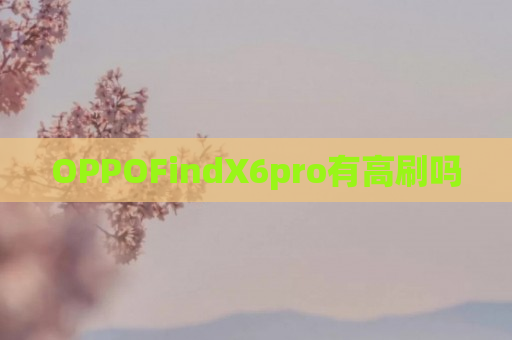 OPPOFindX6pro有高刷吗