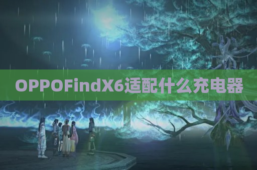 OPPOFindX6适配什么充电器