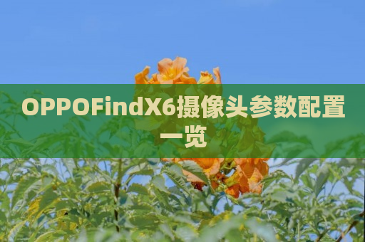 OPPOFindX6摄像头参数配置一览