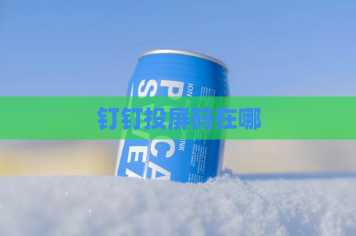 钉钉投屏码在哪
