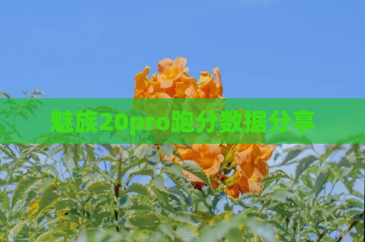魅族20pro跑分数据分享