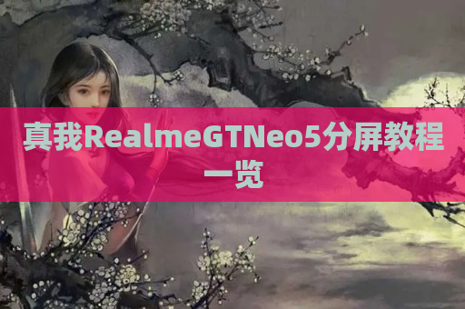 真我RealmeGTNeo5分屏教程一览