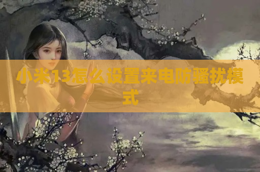 小米13怎么设置来电防骚扰模式