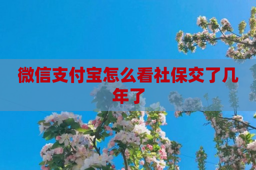 微信支付宝怎么看社保交了几年了