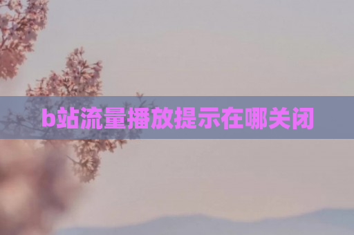 b站流量播放提示在哪关闭