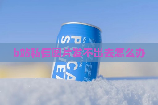 b站私信图片发不出去怎么办