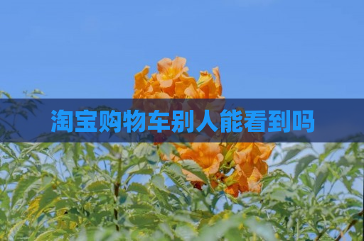 淘宝购物车别人能看到吗