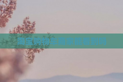 淘宝购物车商家能看到吗