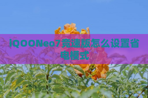 iQOONeo7竞速版怎么设置省电模式