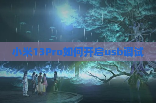 小米13Pro如何开启usb调试