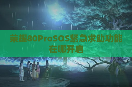 荣耀80ProSOS紧急求助功能在哪开启
