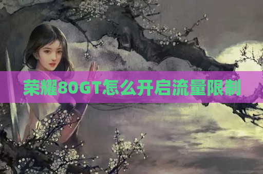 荣耀80GT怎么开启流量限制