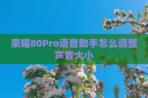 荣耀80Pro语音助手怎么调整声音大小