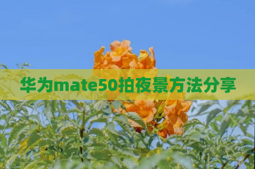 华为mate50拍夜景方法分享