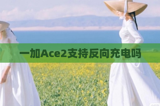 一加Ace2支持反向充电吗