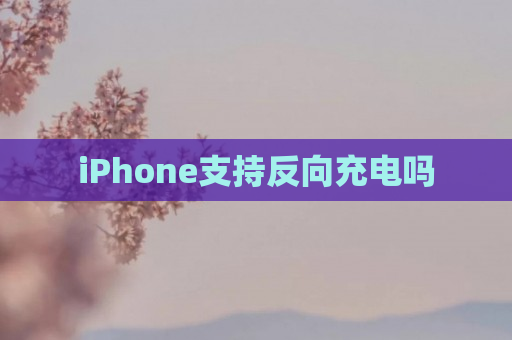 iPhone支持反向充电吗