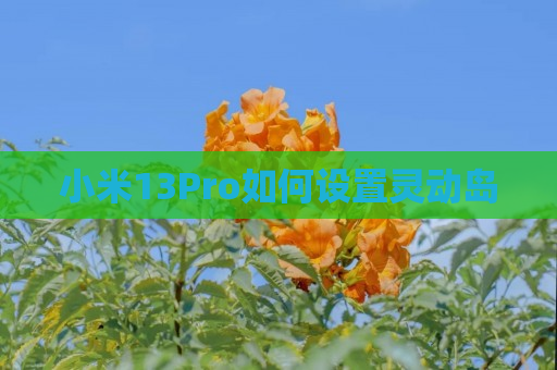小米13Pro如何设置灵动岛