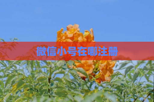微信小号在哪注册