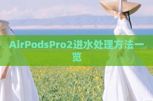 AirPodsPro2进水处理方法一览