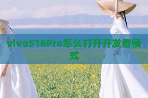 vivoS16Pro怎么打开开发者模式
