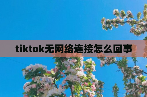 tiktok无网络连接怎么回事