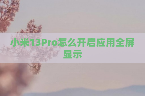 小米13Pro怎么开启应用全屏显示