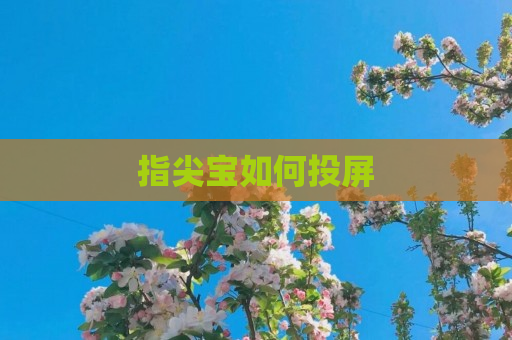 指尖宝如何投屏