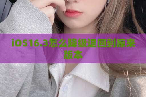 iOS16.3怎么降级退回到原来版本