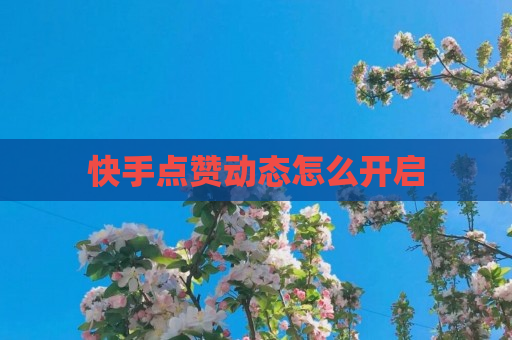 快手点赞动态怎么开启