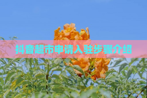 抖音超市申请入驻步骤介绍