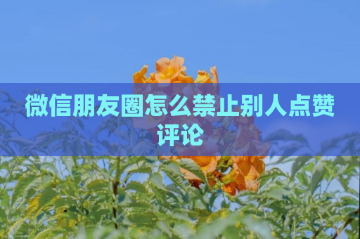 微信朋友圈怎么禁止别人点赞评论