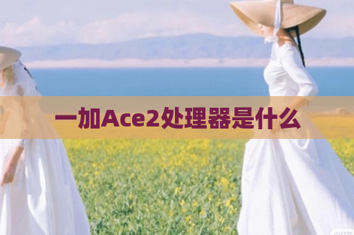 一加Ace2处理器是什么