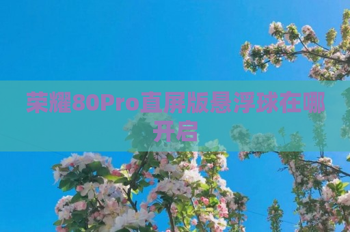 荣耀80Pro直屏版悬浮球在哪开启