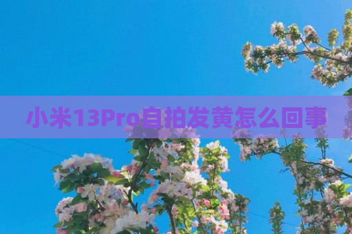 小米13Pro自拍发黄怎么回事