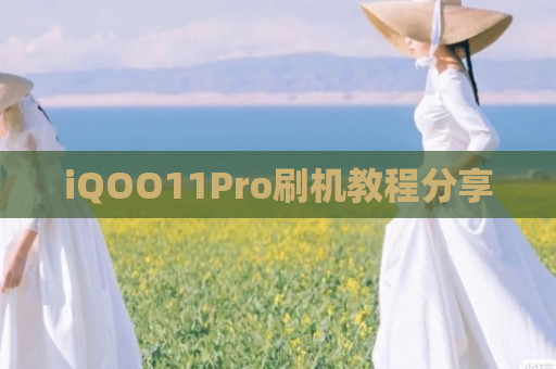 iQOO11Pro刷机教程分享