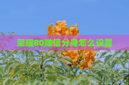 荣耀80微信分身怎么设置