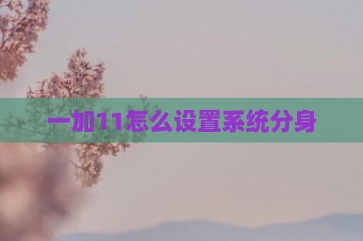 一加11怎么设置系统分身