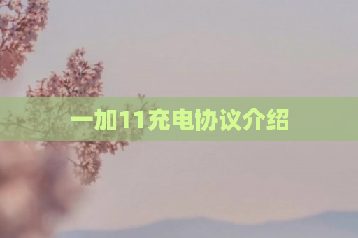 一加11充电协议介绍