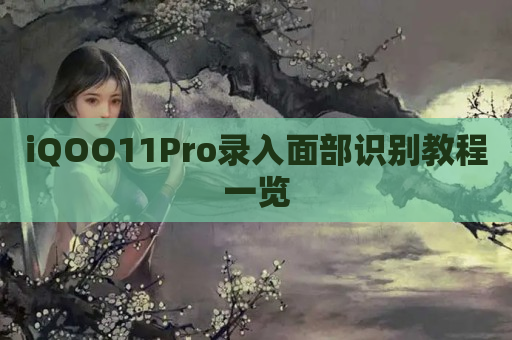 iQOO11Pro录入面部识别教程一览