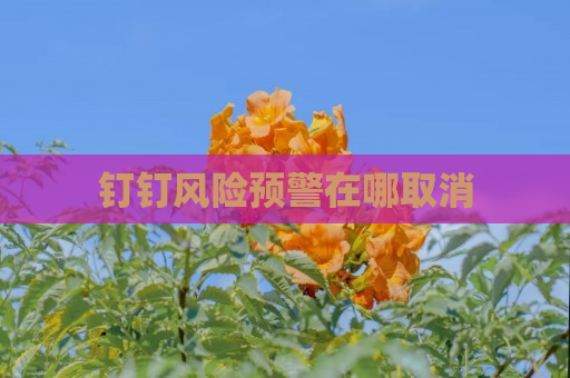 钉钉风险预警在哪取消