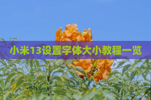 小米13设置字体大小教程一览