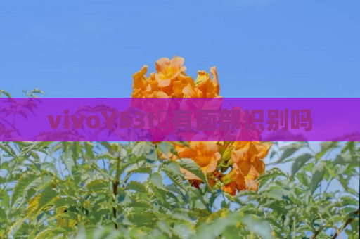 vivoY53t​有面部识别吗